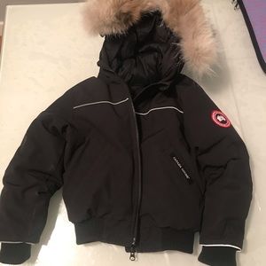 Canada goose